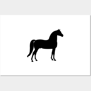 Morgan Horse-Gelding/Stallion Posters and Art